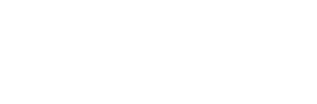 logo horizaontal blanco brig